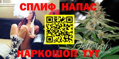 сатива Малоярославец