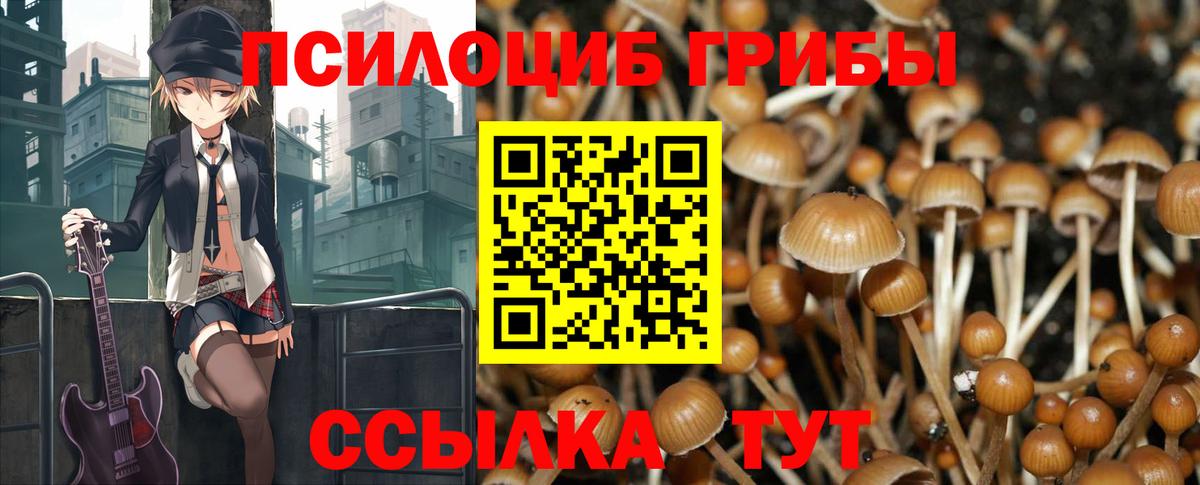 Псилоцибиновые грибы ЛСД Фрязино