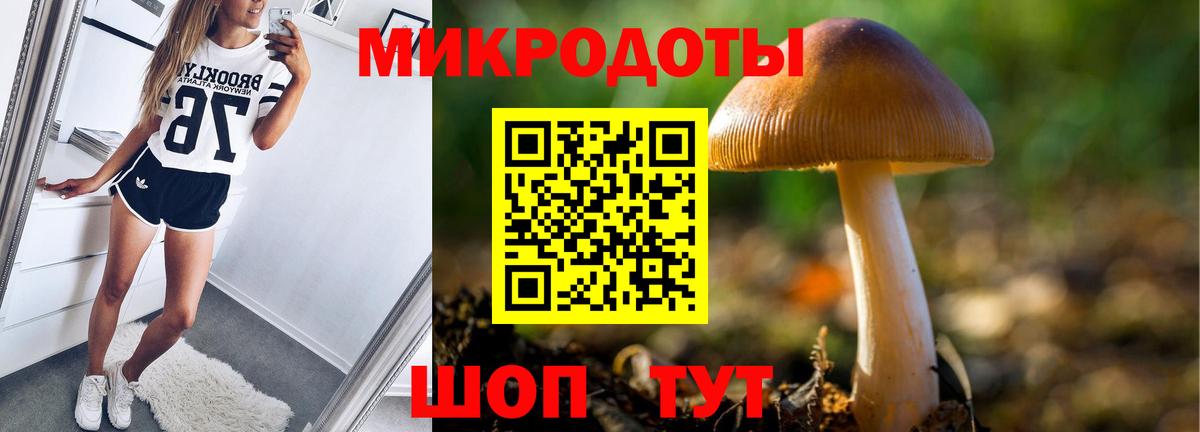 Галлюциногенные грибы мицелий  Вход с VPN  закладка  Фрязино  Галлюциногенные грибы Psilocybe 